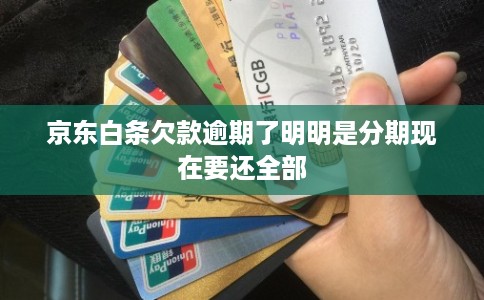 京东白条欠款逾期了明明是分期现在要还全部