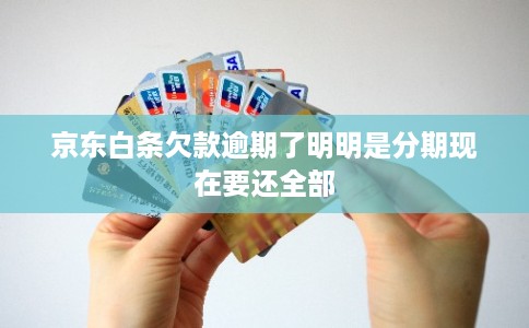 京东白条欠款逾期了明明是分期现在要还全部