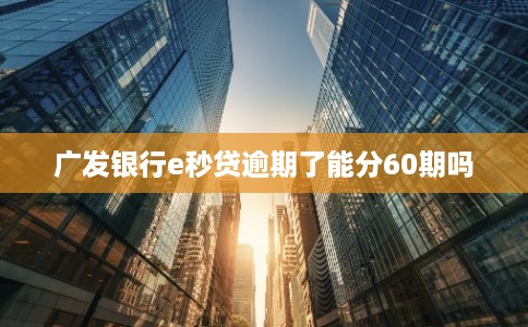 广发银行e秒贷逾期了能分60期吗