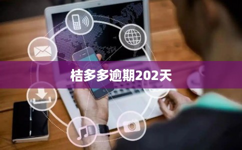 桔多多逾期202天