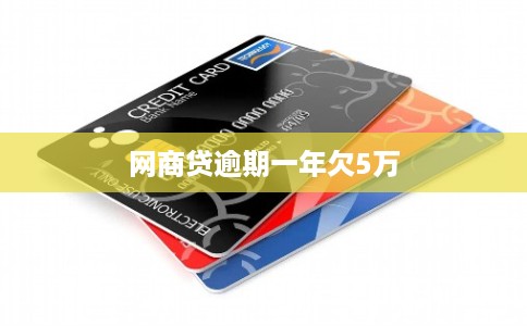 网商贷逾期一年欠5万