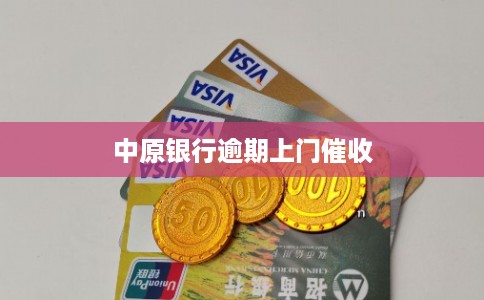 中原银行逾期上门催收