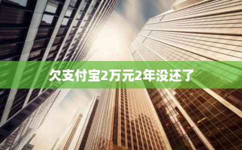 欠支付宝2万元2年没还了