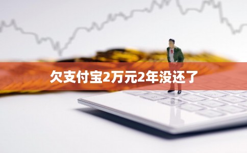 欠支付宝2万元2年没还了