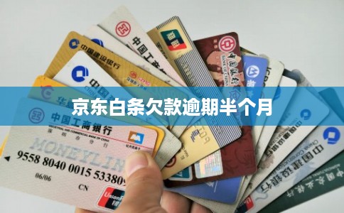 京东白条欠款逾期半个月