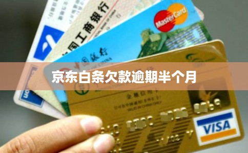 京东白条欠款逾期半个月
