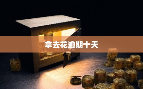 拿去花逾期十天