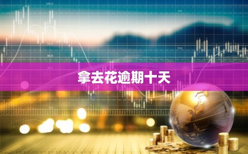 拿去花逾期十天