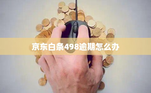 京东白条498逾期怎么办