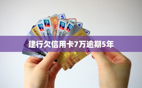 建行欠信用卡7万逾期5年