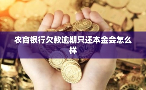 农商银行欠款逾期只还本金会怎么样