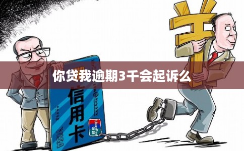 你贷我逾期3千会起诉么