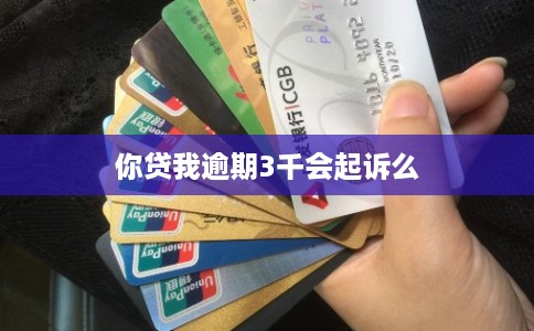 你贷我逾期3千会起诉么