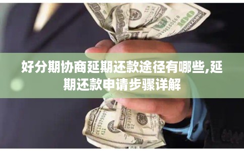 好分期协商延期还款途径有哪些,延期还款申请步骤详解