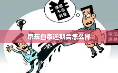 京东白条逾期会怎么样