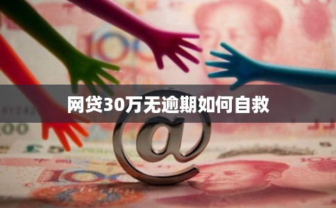 网贷30万无逾期如何自救 网贷30万无逾期如何自救
