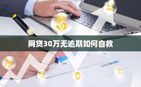 网贷30万无逾期如何自救