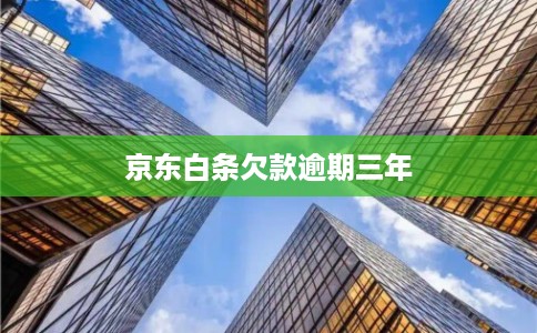 京东白条欠款逾期三年