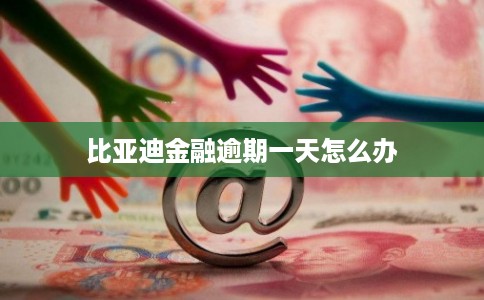 比亚迪金融逾期一天怎么办