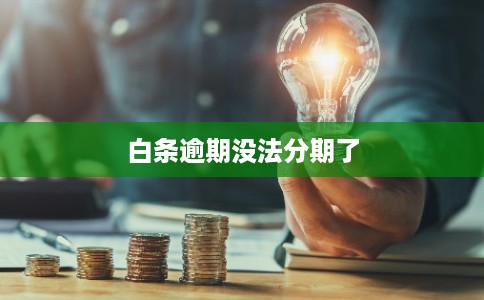 白条逾期没法分期了