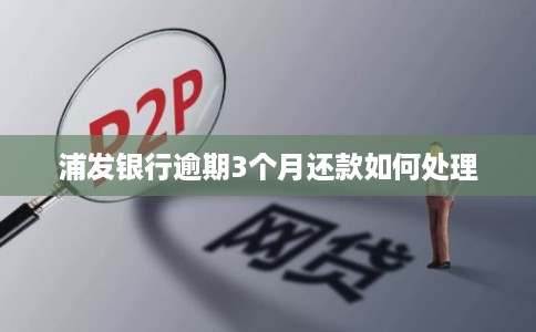 浦发银行逾期3个月还款如何处理