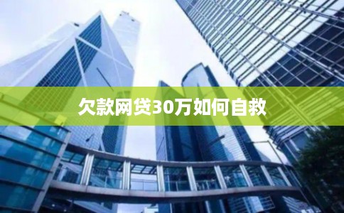 欠款网贷30万如何自救 欠款网贷30万如何自救