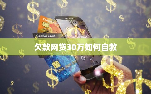 欠款网贷30万如何自救