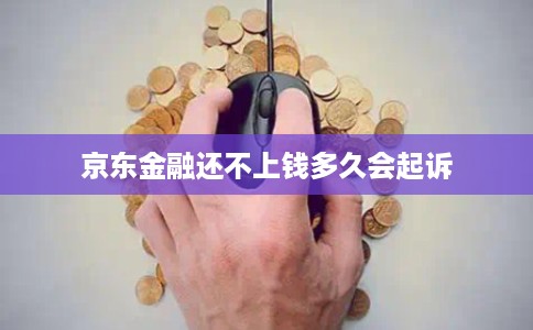 京东金融还不上钱多久会起诉