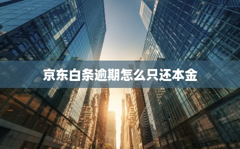京东白条逾期怎么只还本金