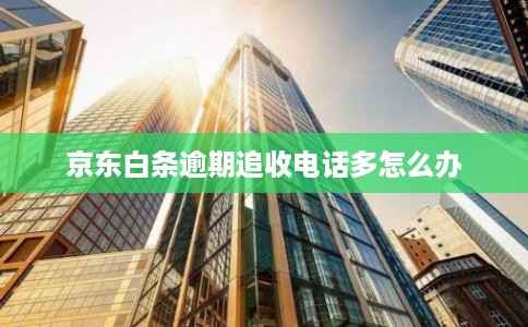 京东白条逾期追收电话多怎么办