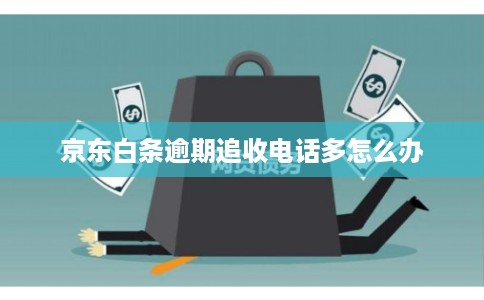 京东白条逾期追收电话多怎么办