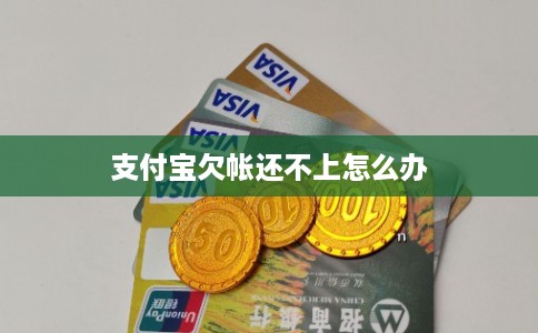 支付宝欠帐还不上怎么办