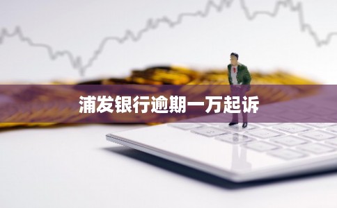 浦发银行逾期一万起诉