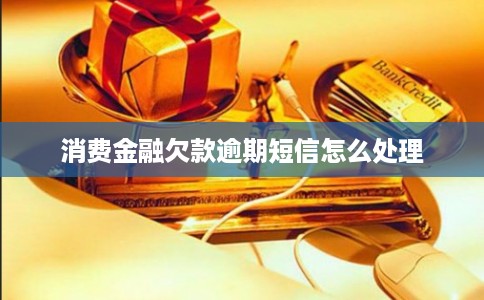 消费金融欠款逾期短信怎么处理