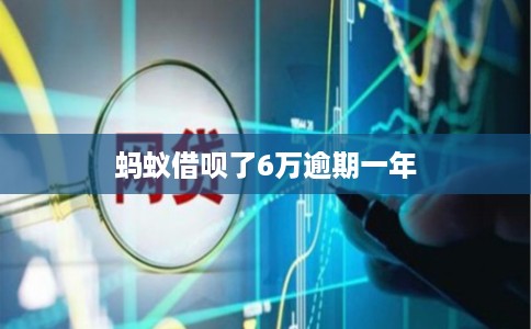 蚂蚁借呗了6万逾期一年