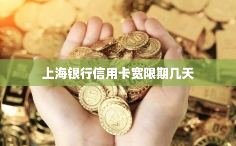 上海银行信用卡宽限期几天