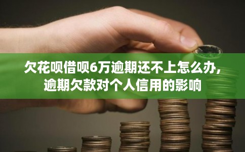 欠花呗借呗6万逾期还不上怎么办,逾期欠款对个人信用的影响