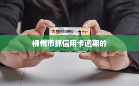 柳州市抓信用卡逾期的