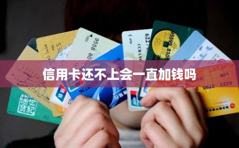 信用卡还不上会一直加钱吗