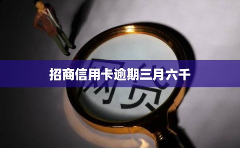 招商信用卡逾期三月六千