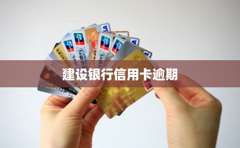 建设银行信用卡逾期