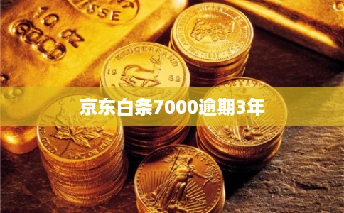 京东白条7000逾期3年