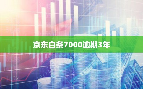 京东白条7000逾期3年