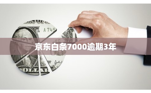 京东白条7000逾期3年