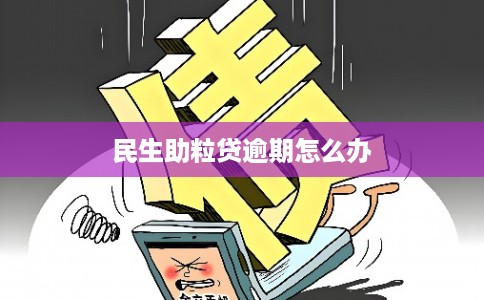 民生助粒贷逾期怎么办