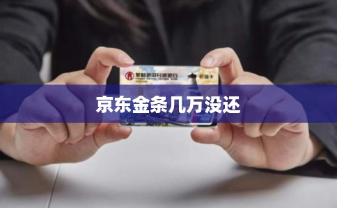 京东金条几万没还