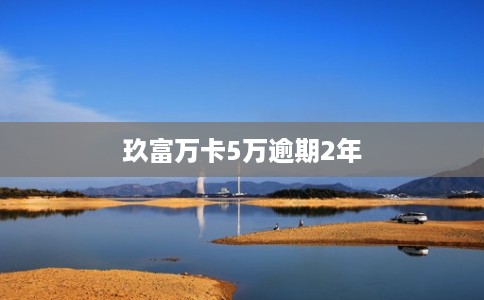 玖富万卡5万逾期2年