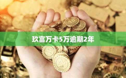 玖富万卡5万逾期2年