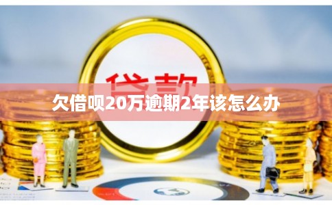 欠借呗20万逾期2年该怎么办