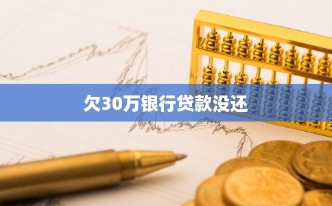 欠30万银行贷款没还